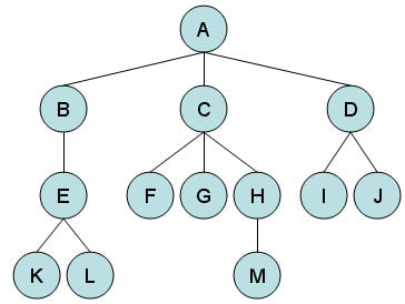 data-structure-algorithm-tree-image